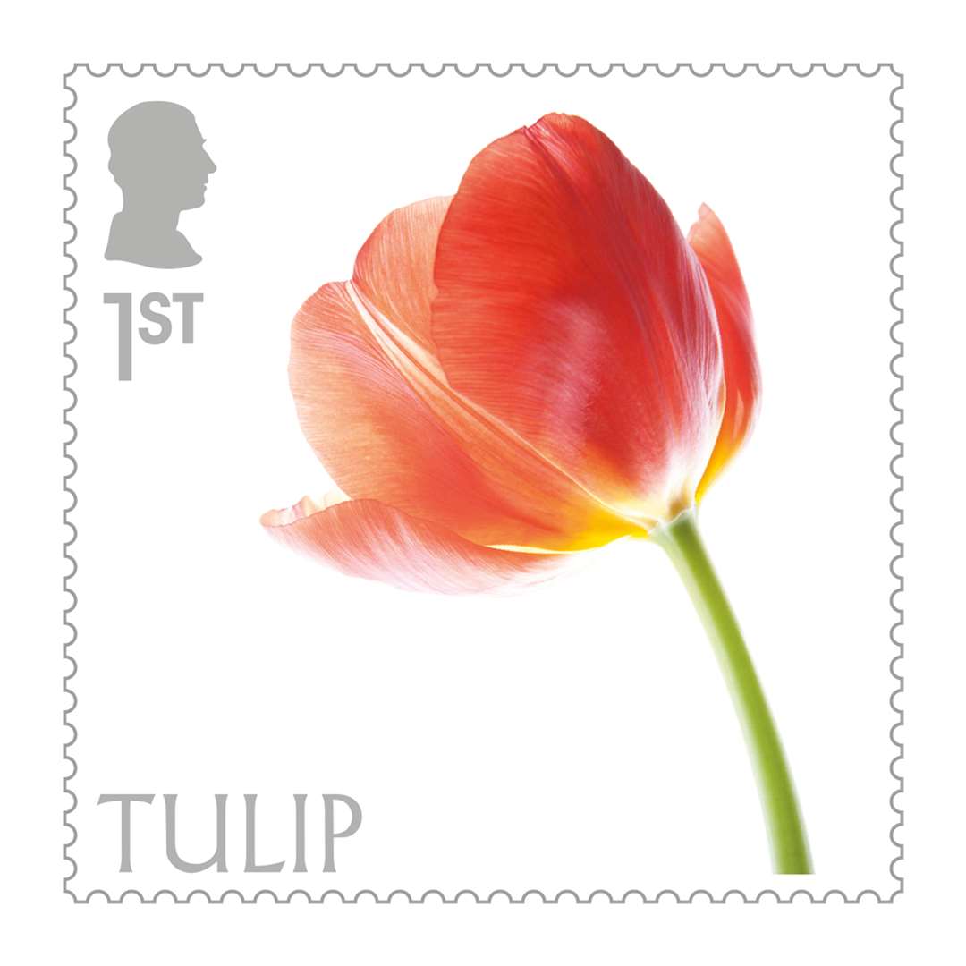 The Tulip is among the 10 flowers chosen for the set