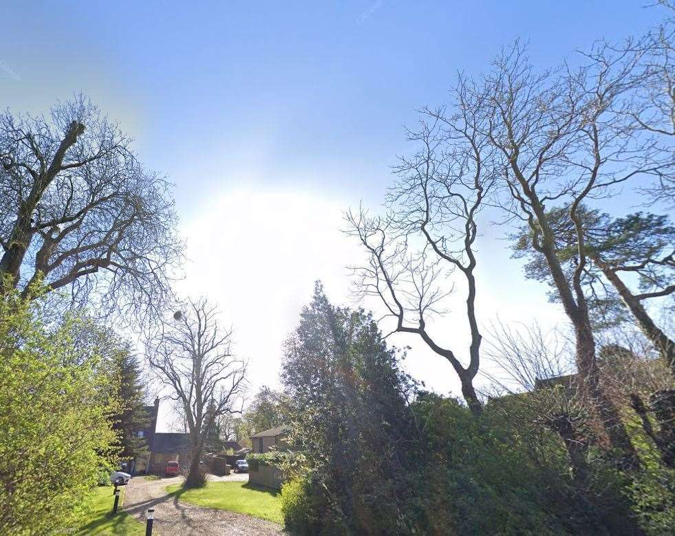 Trees on the site of St John's Rectory are subject to a felling application from the Diocese of Ely.
