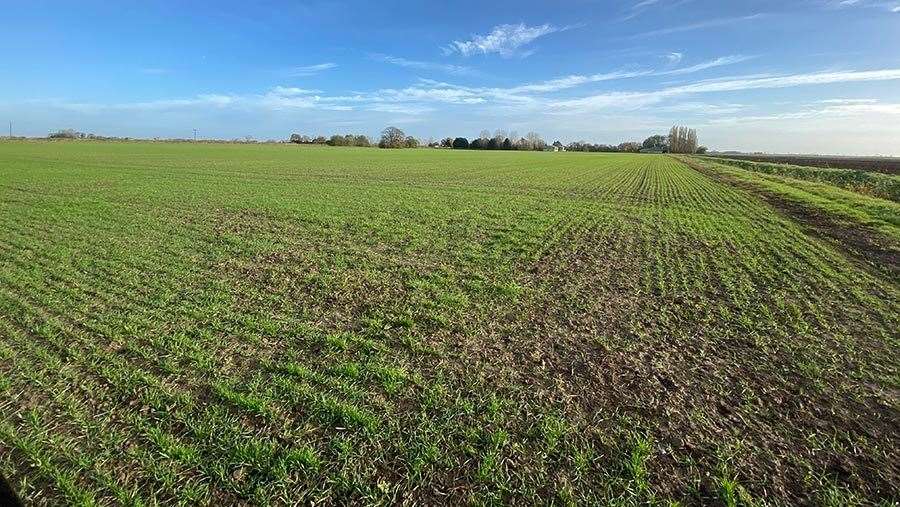 Halls Farm in Guyhirn was one of the county council's to be let last year. Photo: Cambs County Council. (63288790)