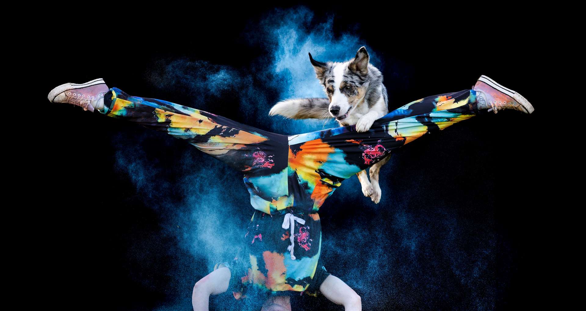 Dogs and humans will perform side by side for some of the show
