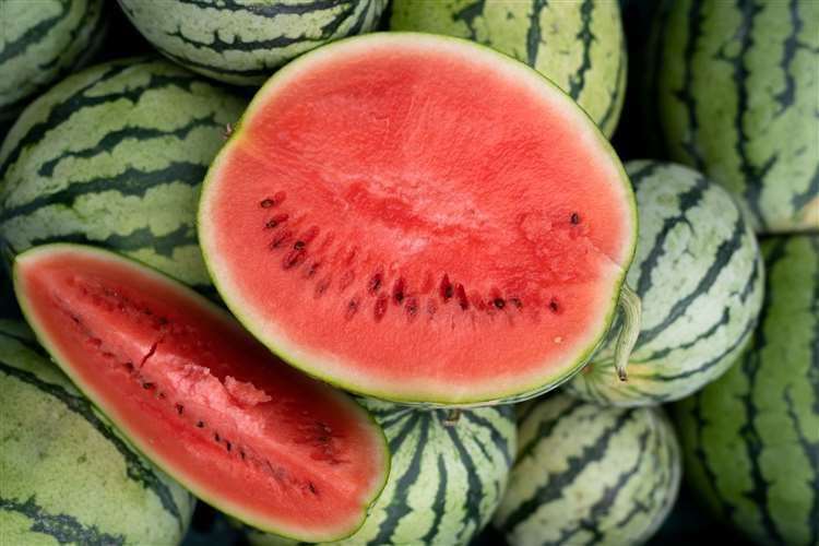 Water melons are a difficult crop to grow in the UK but Oakley Farms at Outwell has had a bumper crop this summer. Photo: Joe Giddens/PA Wire.