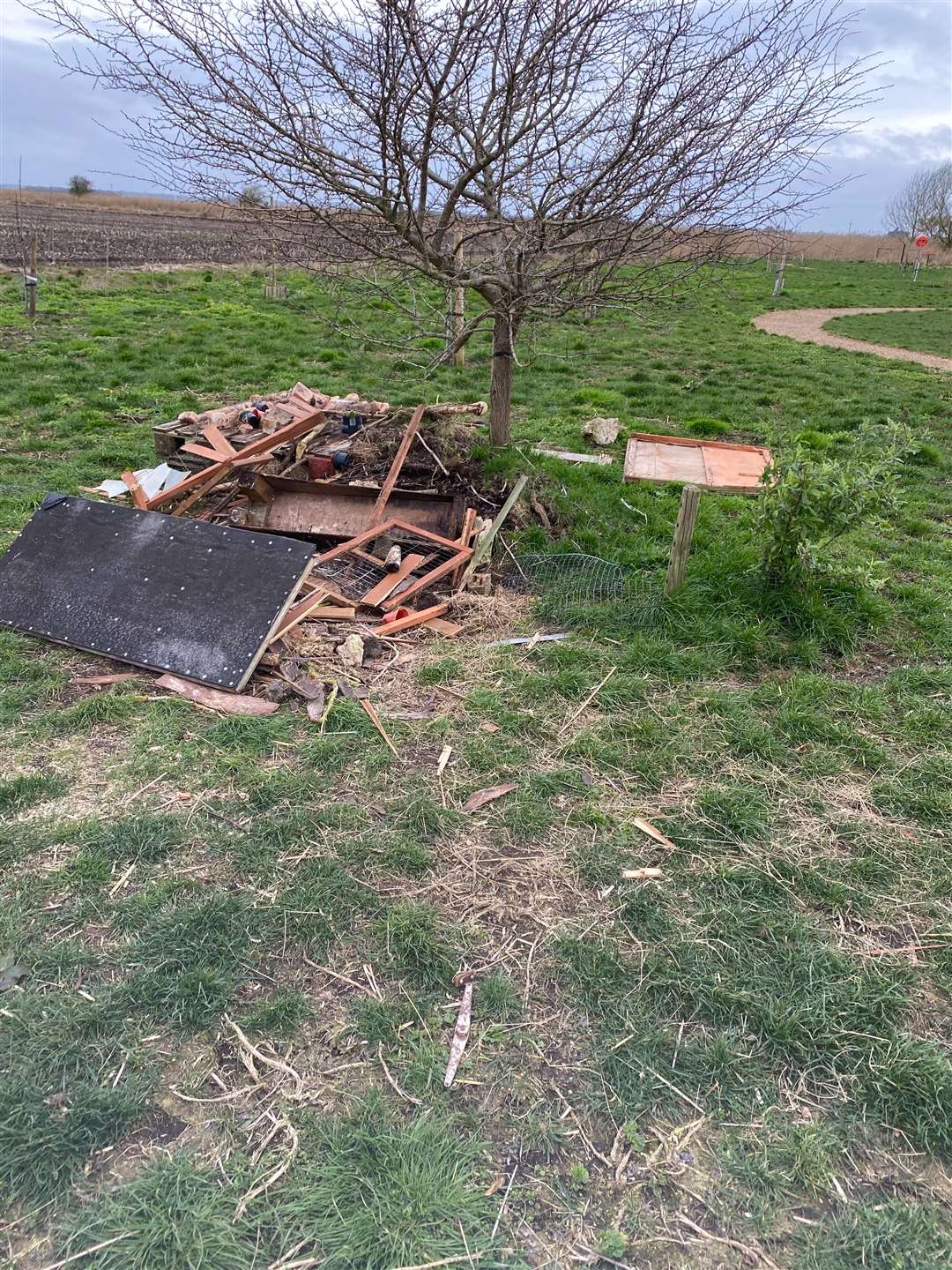Vandals have destroyed a bug house at a town's pocket park and had a fire. (45626272)