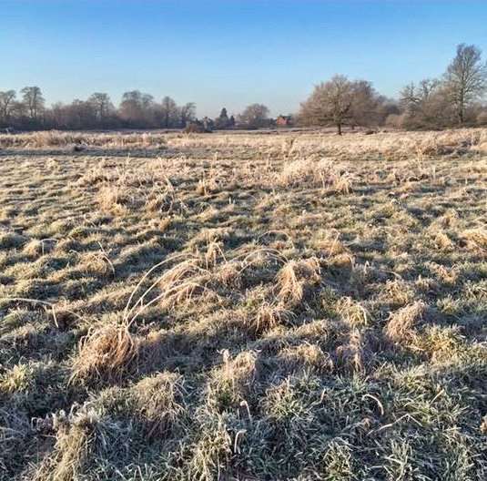 A campaign has been launched to save Wenny Meadow in Chatteris from being built on.