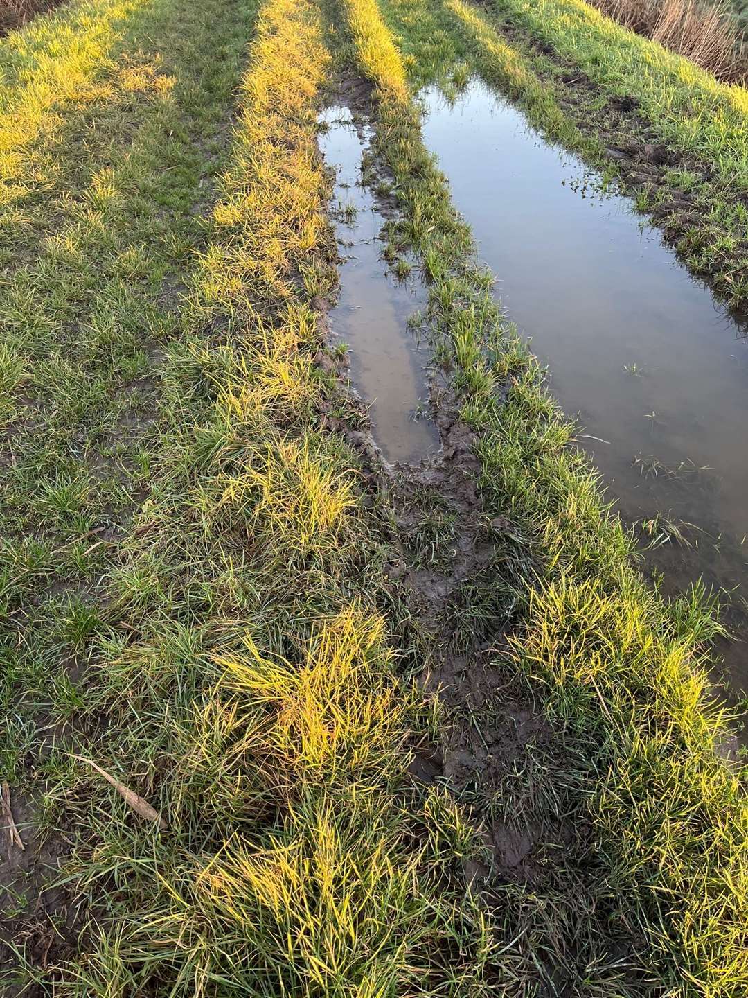 Landowner Steven Niemiec says his predictions of vandalism by unauthorised vehicles using Smeeth Bank have already been fulfilled