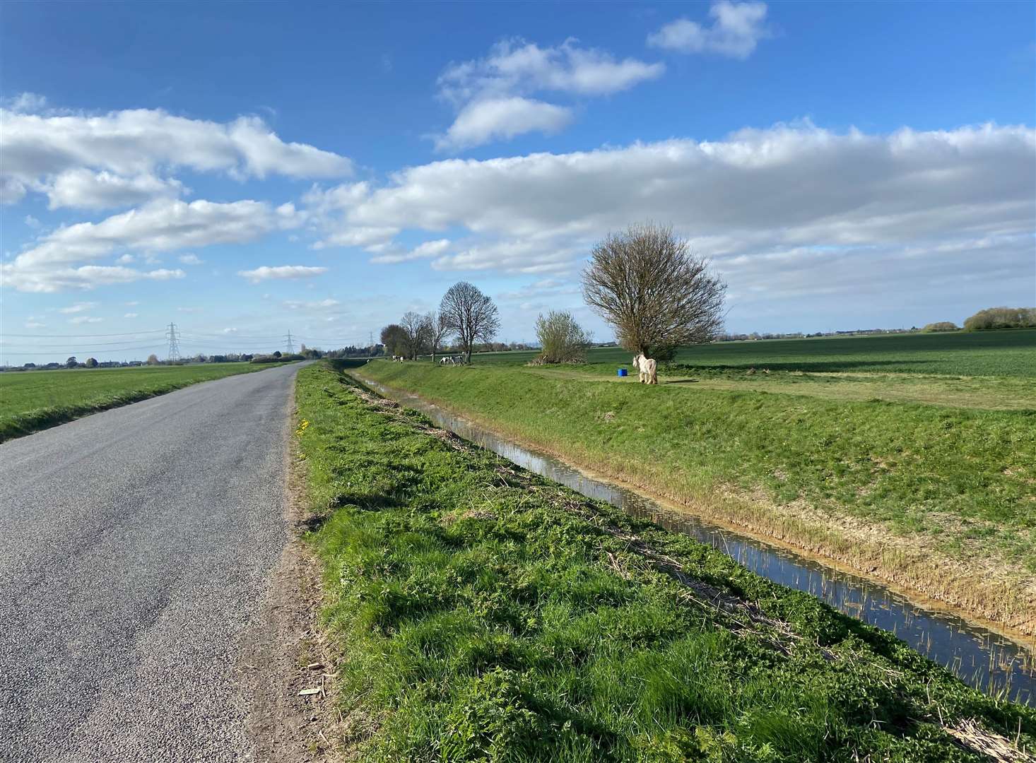 Countryside around Walton Highway