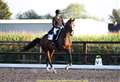 National success for dressage riders