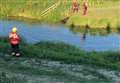 Calf rescued from water