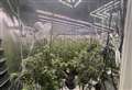 Seven jailed after £1.7m cannabis growing network discovered