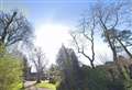 Diocese of Ely applies to chop down protected trees in Fenland town