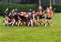 Bears show defensive resolution in defeat