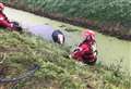 Firefighters rescue pony from water filled ditch