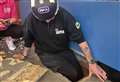 RSPCA staff speak of wonderful teamwork after cat rescue