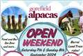Chance to meet the residents of Gorefield Alapacas with open weekend event
