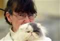 Such a purr-fect day for annual championship cat show in Tydd St Giles 