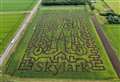 Business gives an 'a-maze-ing' tribute to Captain Tom