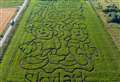 Fenland garden centre offers splashing day out with Disney-themed maize maze