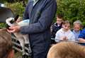 Woolly friends and classical music during exciting week at primary school