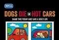 Dogs die in hot cars warning as Cambridgeshire Police called to two incidents including one in Fenland 