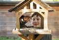 RSPB give tips on feeding birds in winter