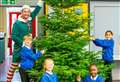 Christmas tree donated to school by TikTok-using business owner