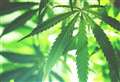 Man caught drug driving was using cannabis oil for medical purposes