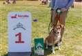 Owner ‘over the moon’ as Zuri secures coveted place at Crufts