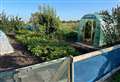 Allotment sites across Fenland are proving hugely popular but there are vacancies in some villages