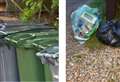 Black bins come out on top in bin consultation