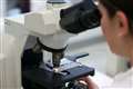 Researchers unlock secrets of the past with new carbon dating standard