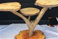 Chance to snap up a momento from town’s famous ‘wonky’ tree
