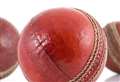 CRICKET: Welcher hits 177 not out as March 3rds hammer Isleham 2nds