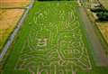 Skylark Maize Maze is a Marvel of an attraction this summer