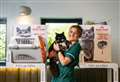 Fenland vets helps keep moggies 'feline' fine with cat friendly approach