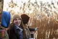 Over 40% of people in the East of England will set their goals for 2025 during a festive walk this Christmas