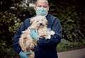358 incidents in Cambridgeshire last Christmas, as RSPCA braces for toughest year yet