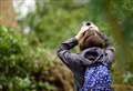 RSPB asks for help amid 'climate emergency' 