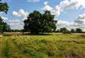 Green light for plans to build 90 homes on Fenland town’s popular meadow