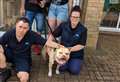 RSPCA Block Fen’s delight as they say farewell to Thor after two years