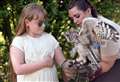 Loads of fun at Fens Falconry open day in Wisbech 