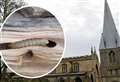 Spiders tackle woodworm menace - but historic spire now ‘unsafe’ and needs £50k repairs