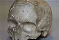 Ask the curator about his pick of museum's quirky treasures