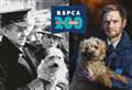 More than 6,000 animals rehomed by RSPCA in Cambridgeshire in last decade