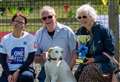 Hundreds brave the rain to celebrate with the RSPCA