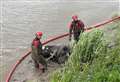 Four fire crews called to cow rescue at Guyhirn