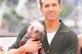 Ryan Reynolds promises to ‘get down in the mud’ in new nature documentary