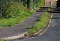 ‘We didn’t get this right’ admits county council over policy to end chemical weed killing