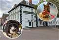 ‘Utter disbelief’: Discrimination claims as assistant dogs are not allowed into pub