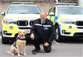 Police force set to spread 'paw-sitivity' with first ever wellbeing dog