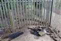 ‘They're forever setting fires’: Resident fears park incidents could lead to tragedy