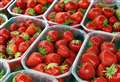 British-grown strawberries and apples risk extinction 